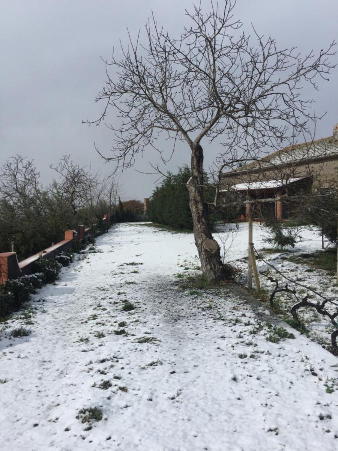 Villa Malicodia Santa Maria di Licodia Exterior foto